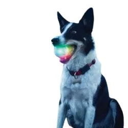 NiteIze GlowStreak LED Ball Disc-O